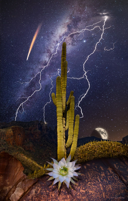 Saguaro Moon II 22x14